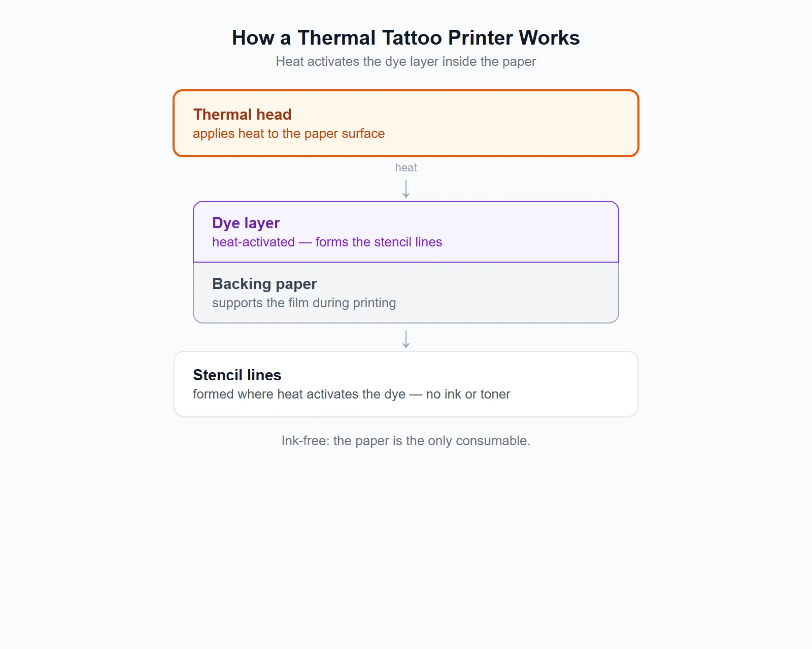 Thermal tattoo printer mechanism: thermal head activating the dye layer in transfer paper